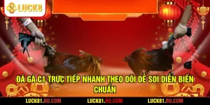 Đá Gà C1 Trực Tiếp Nhanh Theo Dõi Dễ Soi Diễn Biến Chuẩn