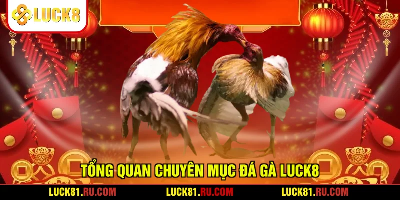 Tổng quan chuyên mục đá gà LUCK8