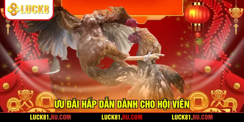 Ưu đãi hấp dẫn dành cho hội viên